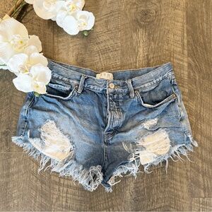 Free People We The Free Denim Shorts Size 29